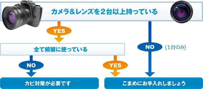 カメラ&レンズを2台以上持っている カメラ&レンズを2台以上持っている