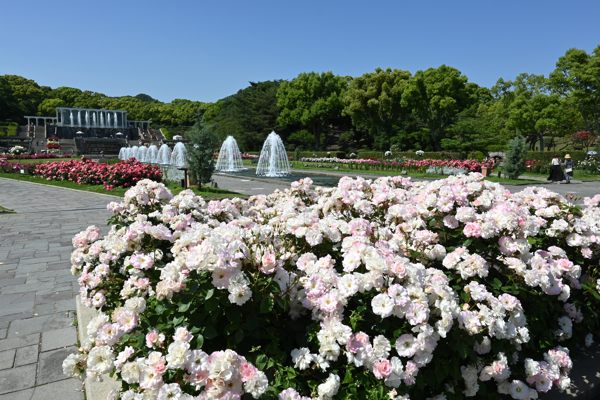 神戸市立須磨離宮公園のイタリア式庭園