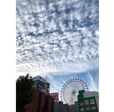 札幌の羊雲