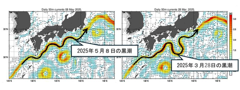 黒潮の流れ