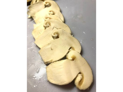 薄くカットしたマツタケ