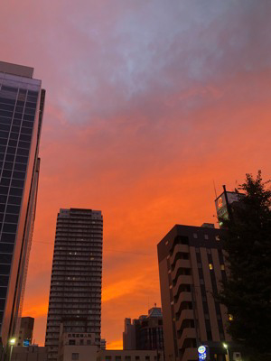 �N�₩�ȗ[�Ă�