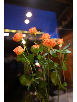 �����̃��X�g��������̌i�F