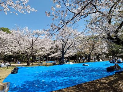 �������J�̑�X�،���