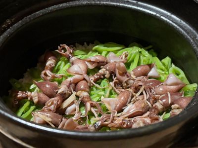 �z�^���C�J�̐������݂���