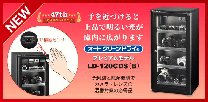 �V���i�Љ�