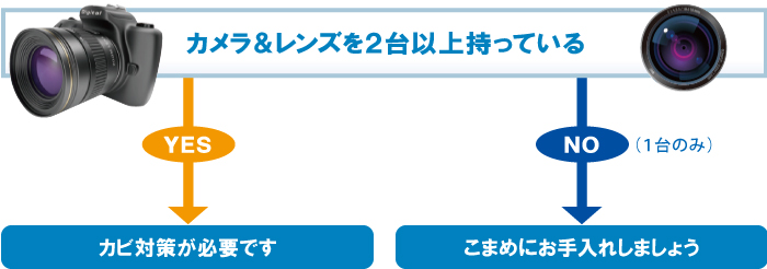 カメラ&レンズを2台以上持っている カメラ&レンズを2台以上持っている